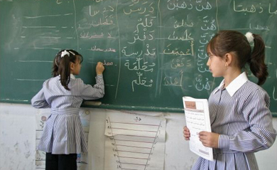 الأمية بين الإناث حوالي ثلاثة أضعاف ونصف مثيلتها بين الذكور 
